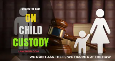 Understanding Child Custody Laws: Rights, Responsibilities, and Legal Guidelines