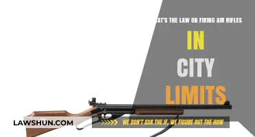 Firing Air Rifles in City Limits: Legal Boundaries and Regulations