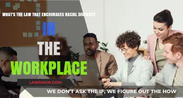 Promoting Equality: Understanding Laws for Racial Diversity at Work