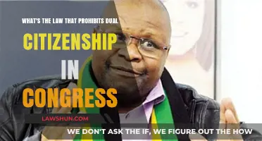 Can Dual Citizens Serve in Congress? Exploring the Legal Restrictions