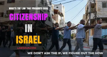 Israel's Dual Citizenship Prohibition: Understanding the Legal Framework
