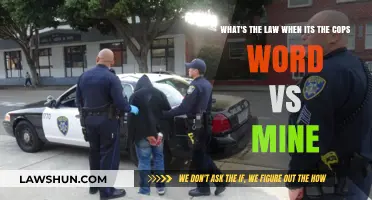 Cops vs. Civilians: Navigating Legal Battles of Conflicting Testimonies