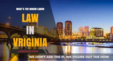 Understanding Virginia's Minor Labor Laws: Rights, Restrictions, and Compliance