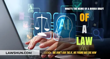 Understanding the Term for a Law's Initial Rough Draft: A Guide