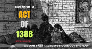 Understanding the 1388 Poor Law Act: Origins and Impact