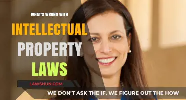 Intellectual Property Laws: Hindering Innovation or Protecting Creators?