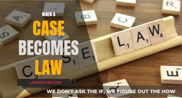 How Cases Become Law: Understanding the Process