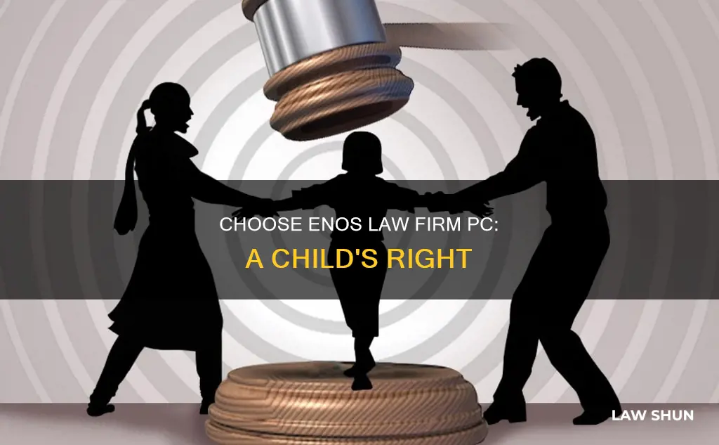 when a child can choose the enos law firm pc