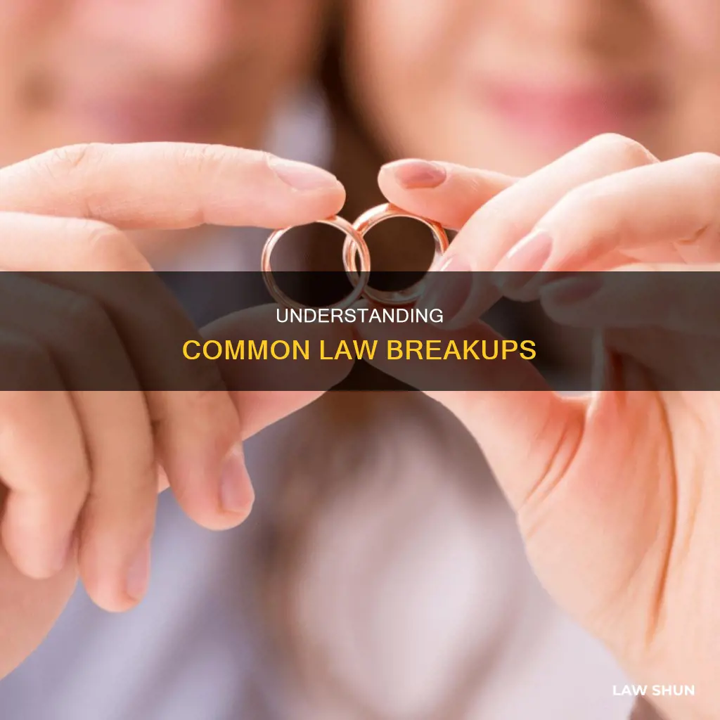 when a common law relationship ends