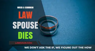 Common-Law Spouse: What to Do When They Pass Away