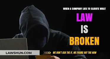 Corporate Deception: Legal Consequences of Lying to Clients Explained
