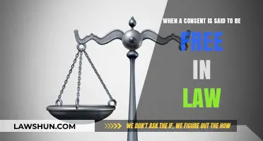 Understanding Free Consent: Legal Principles and Implications in Contracts