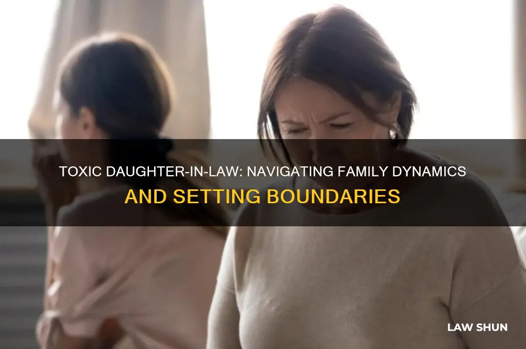 when a daughter in law is toxic