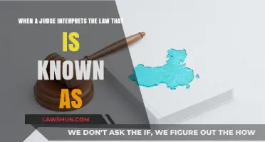 Judicial Interpretation: Understanding How Judges Shape Legal Meaning