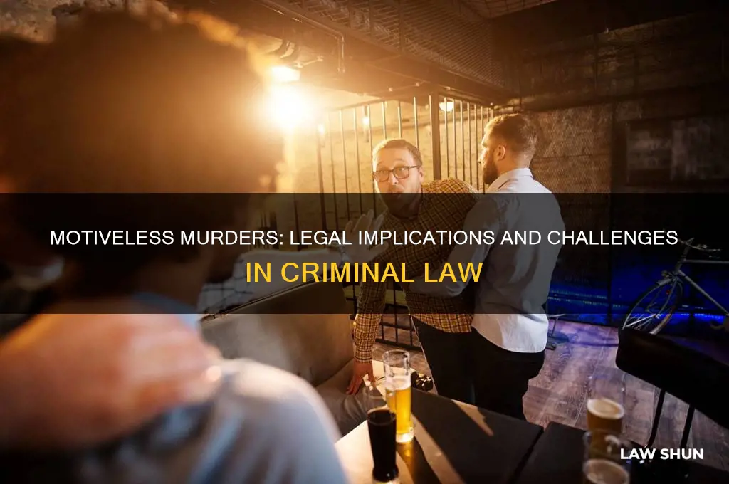 when a killer has no motive what is the law