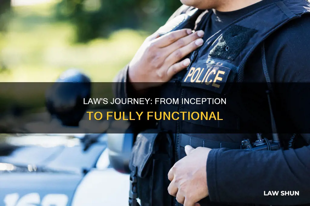 when a law becomes fully functional