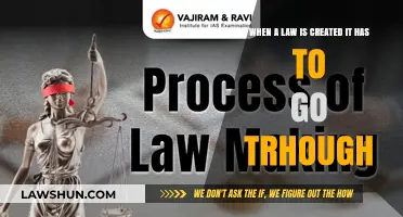 The Lawmaking Journey: A Complex Process