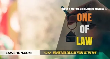 Legal Missteps: Navigating Mutual Mistakes of Law in Contracts