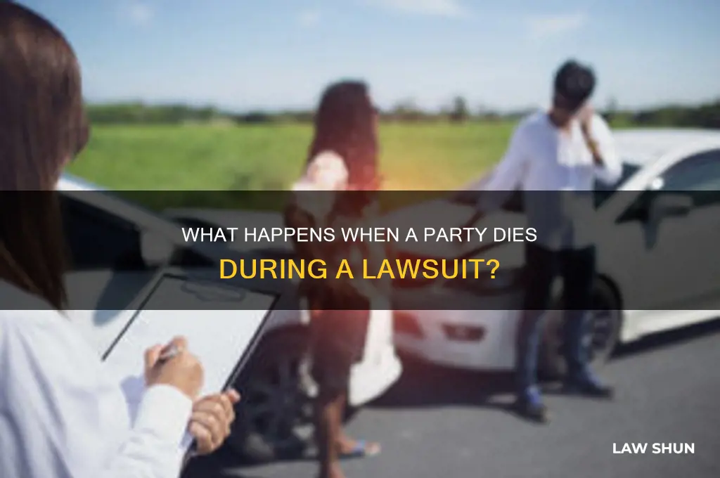 when a party dies during a law suit