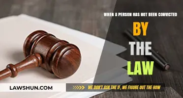 Unconvicted but Impacted: Navigating Life Without a Legal Conviction