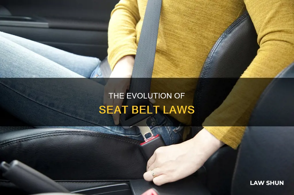 when and how seat belt in car become a law