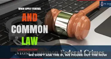 Federal and Common Law: When to Apply Each