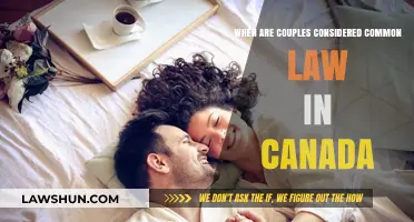 Understanding Common-Law Relationships in Canada