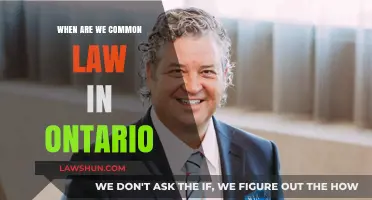 Understanding Common-Law Status in Ontario