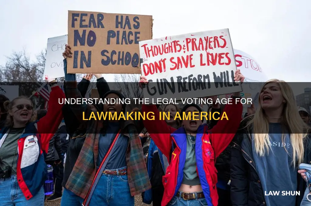 when are you able to vote on laws america