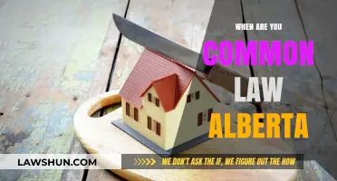 Common-Law Relationships in Alberta: Understanding the Legal Definition