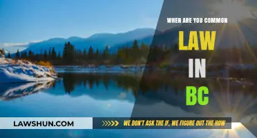 Common-Law Relationships in BC: Understanding the Law