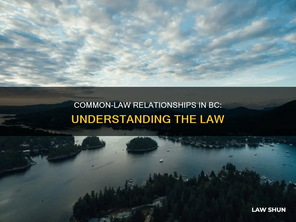 when are you common law in bc