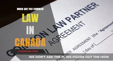 Common-Law Relationships in Canada: Understanding the Legal Definition