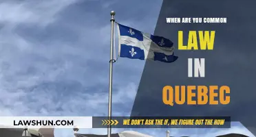 Common-Law Relationships in Quebec: Understanding the Legalities