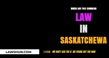 Saskatchewan Common-Law Relationships: Understanding the Law