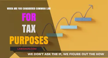 Understanding Common-Law Tax Status: When Does It Apply?