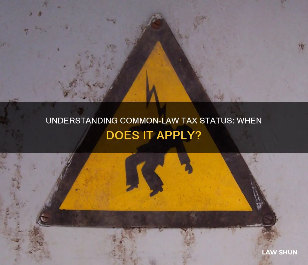 when are you considered common law for tax purposes