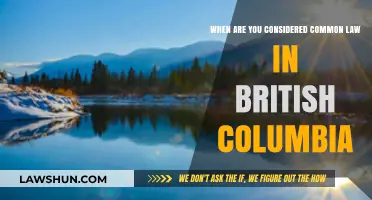 Understanding Common Law in British Columbia