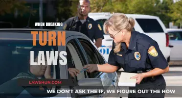 The Dangers of Defying the Law: When Breaking Turn Signals