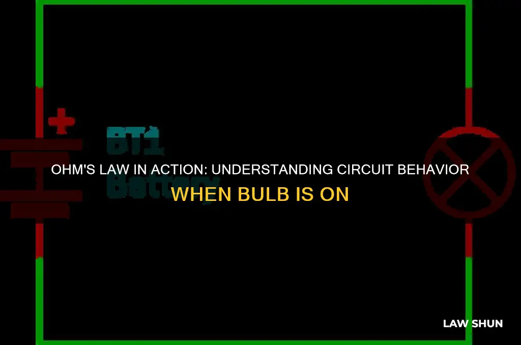 when bulb is turned on ohm