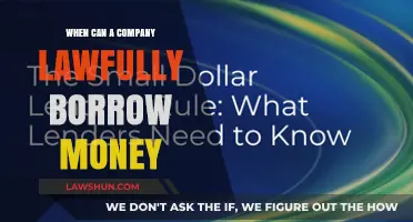 Borrowing Money: When Can Companies Legally Do It?