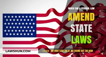 Federal Law: When Can It Override State Laws?