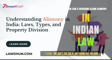 Alimony Rights for Husbands: Indian Law Insights