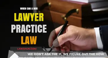 Law Practice: When Non-Lawyers Can Help