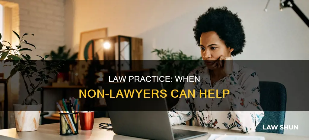 when can a non lawyer practice law
