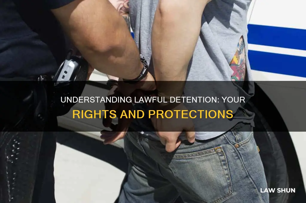 when can a person be lawfully detained
