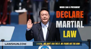 Martial Law: Presidential Powers Examined