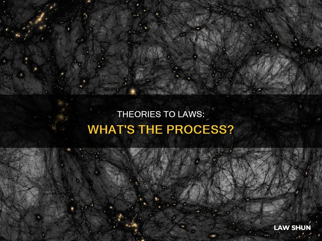 when can a theory become a law