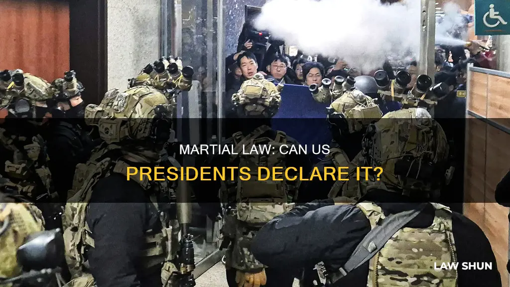 when can a us president declare martial law constitutional crisis
