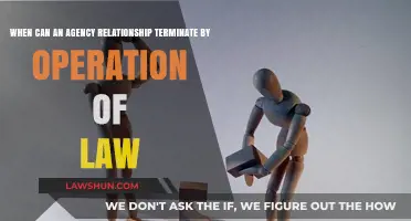 Agency Termination: When Does the Law Intervene?